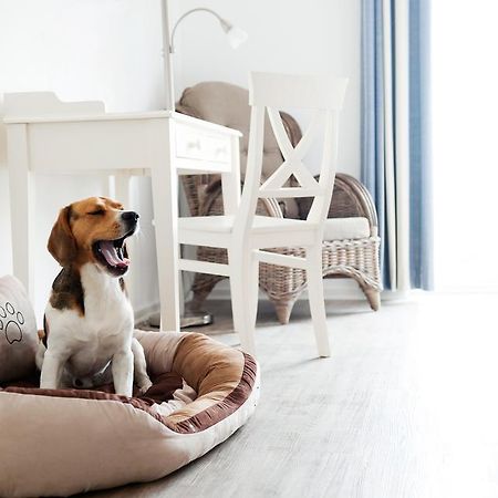 Hotel, Restaurant, Cafe Pharisaeerhof - Nordseeurlaub Mit Hund Nordstrand Esterno foto