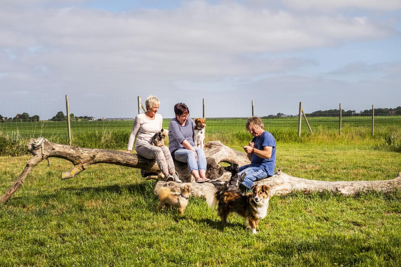 Hotel, Restaurant, Cafe Pharisaeerhof - Nordseeurlaub Mit Hund Nordstrand Esterno foto
